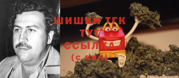apvp Алзамай